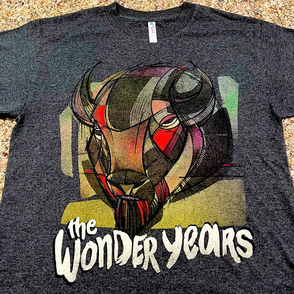 Alstyle Other - 🎸 '16 The Wonder Years Band Crazy Bull No Closer To Heaven Fall Tour Tee Shirt